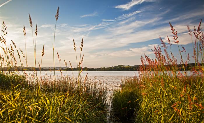 Llangorse Lake